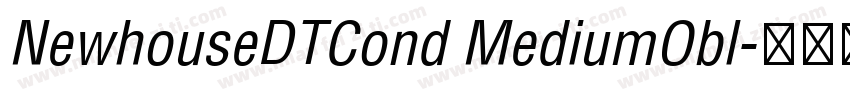 NewhouseDTCond MediumObl字体转换